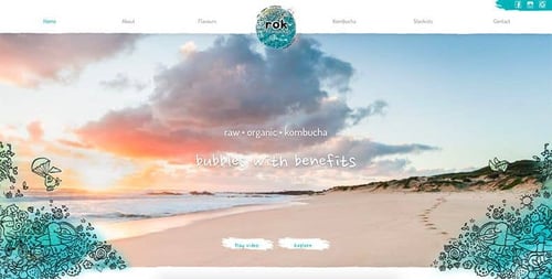  Raw Organic Kombucha