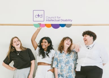 CID Web design development