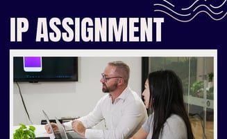  IP Assignment at Every Milestone: You Own What You Pay For 