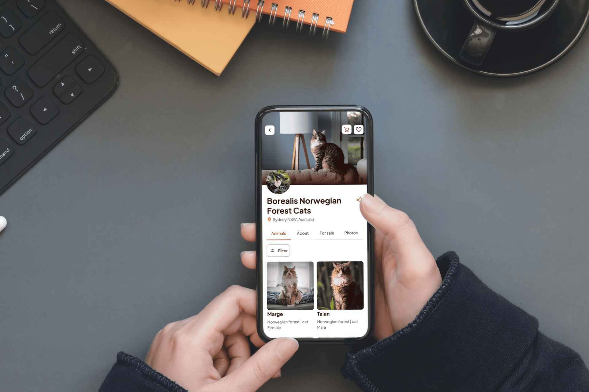 Social Media App