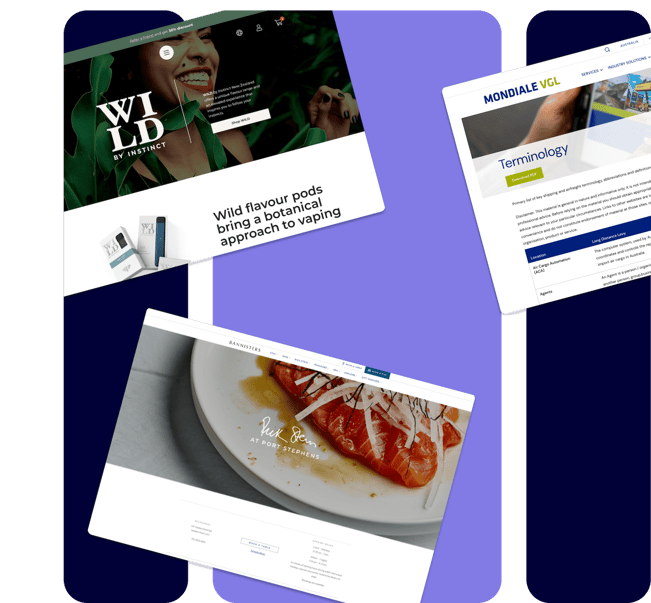 Website design australia-1