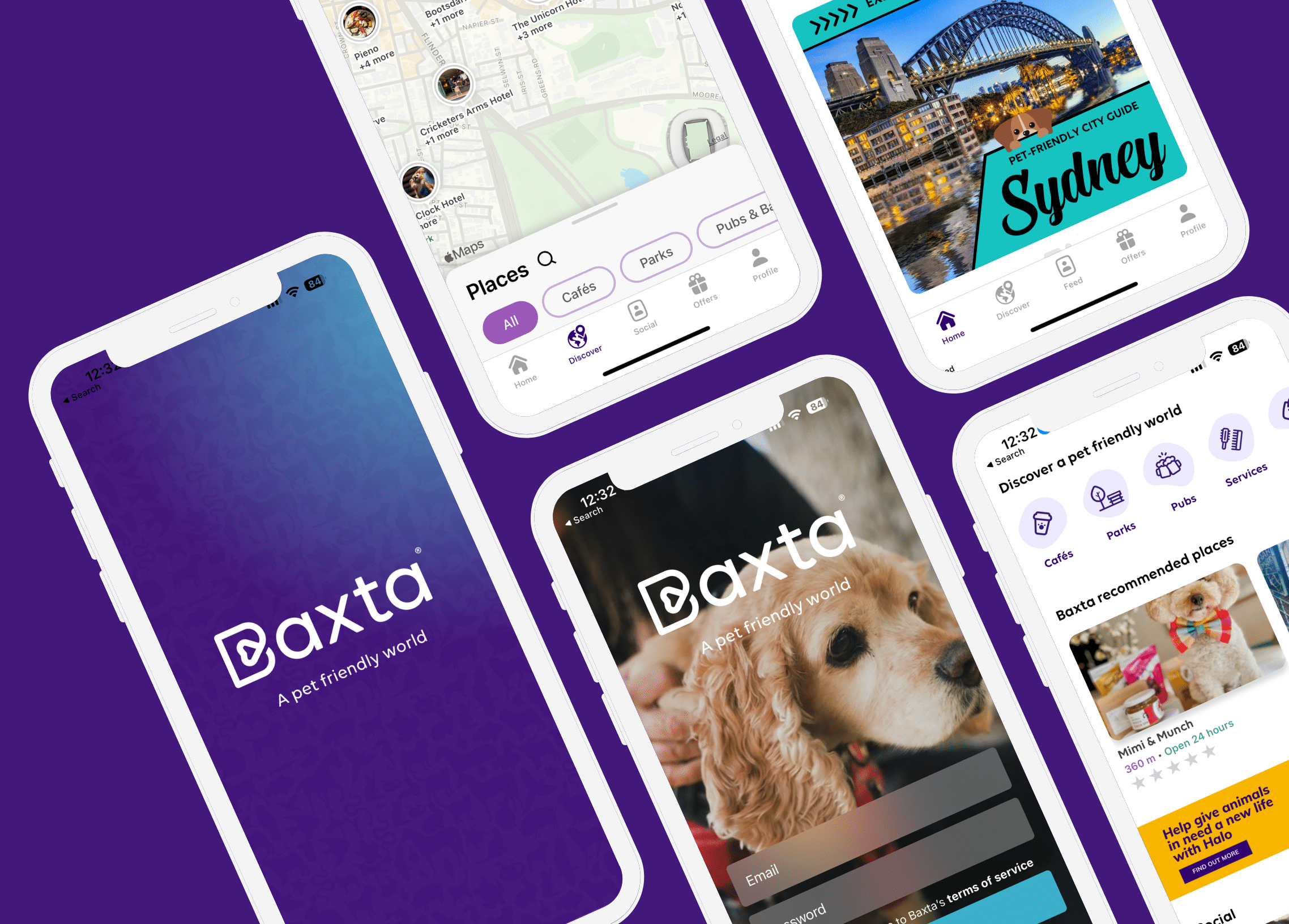 Bringing Pets and Owners Together: Baxta Social Media Apps