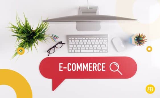 Key Differences Between an Ecommerce and a Regular Website